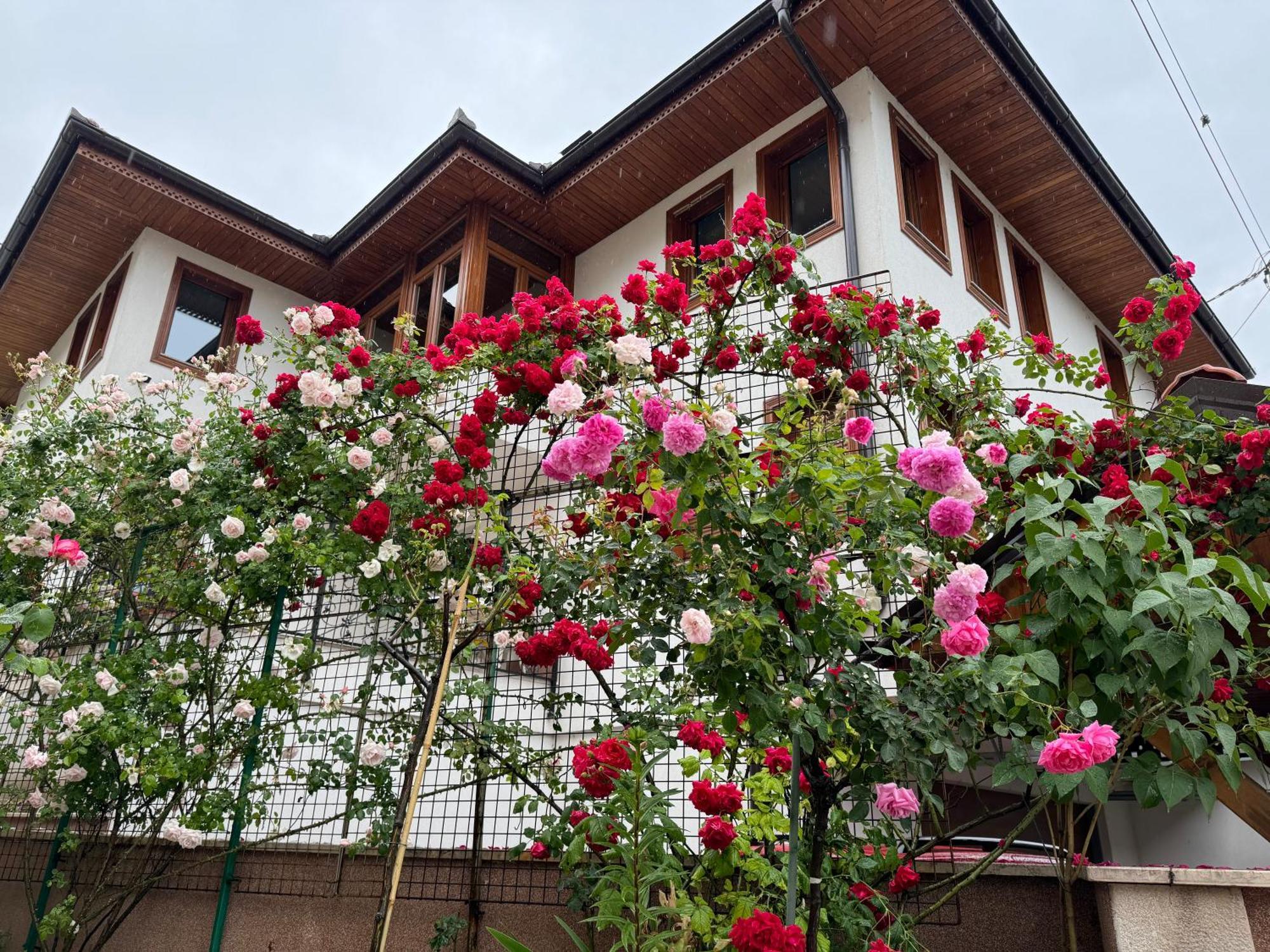 Imas Apartment Sarajewo Zewnętrze zdjęcie